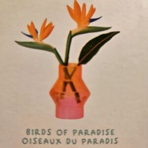 Miniverse birds of paradise